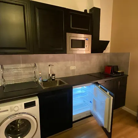 מלון דירות Rotterdam Inn 3*