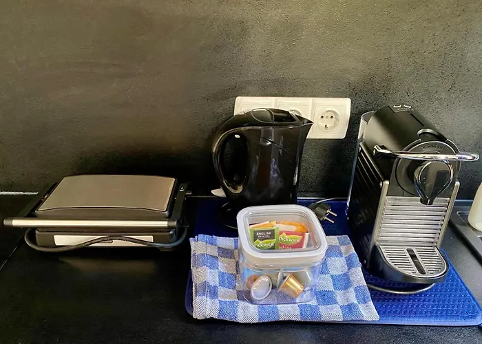 מלון דירות Rotterdam Inn 3*